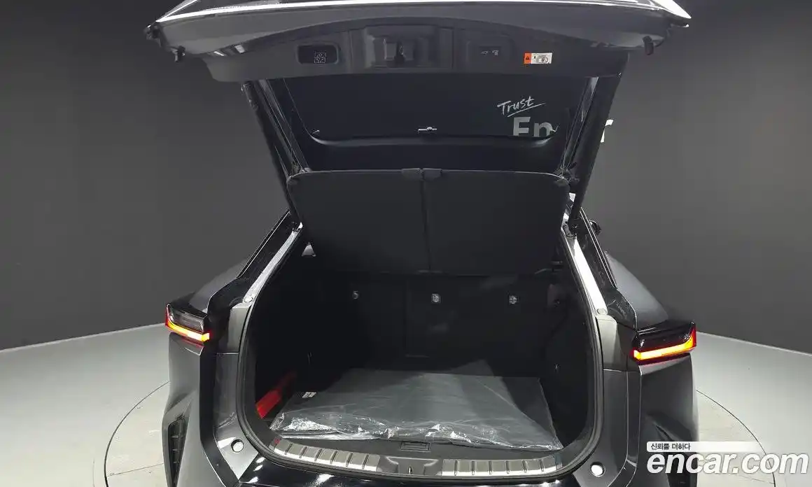 Lexus RZ 2023 0.1 гидро, фото 20
