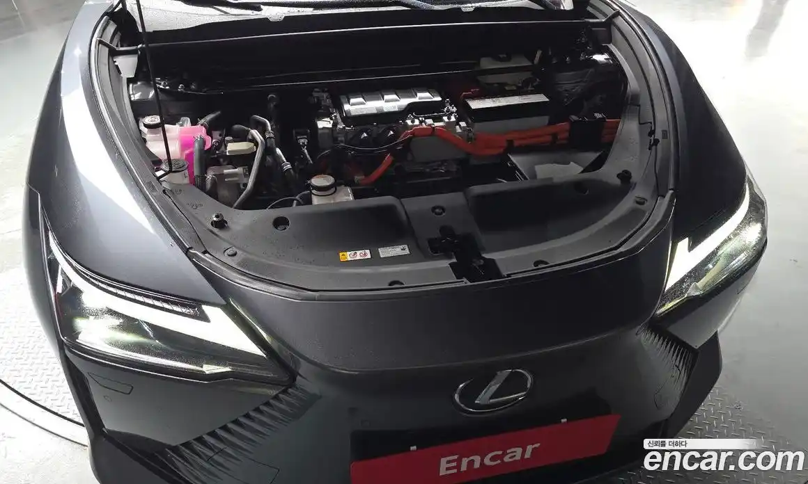 Lexus RZ 2023 0.1 гидро, фото 6