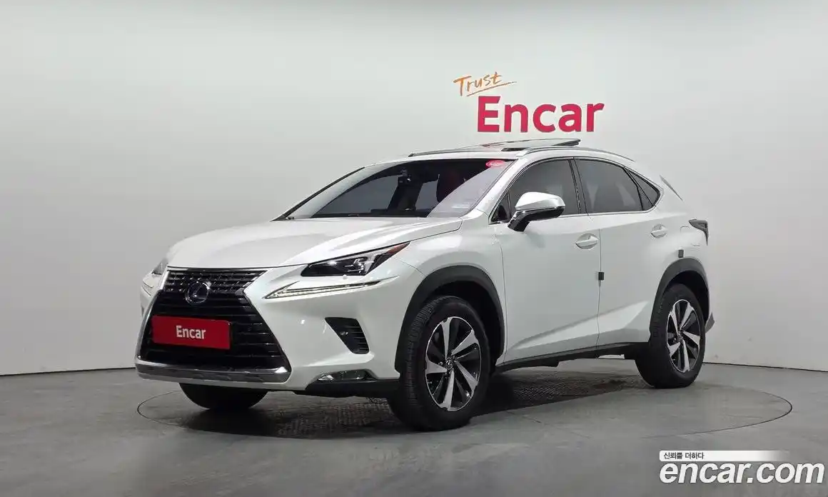 Lexus NX 2018 2.5 гидро, фото 1