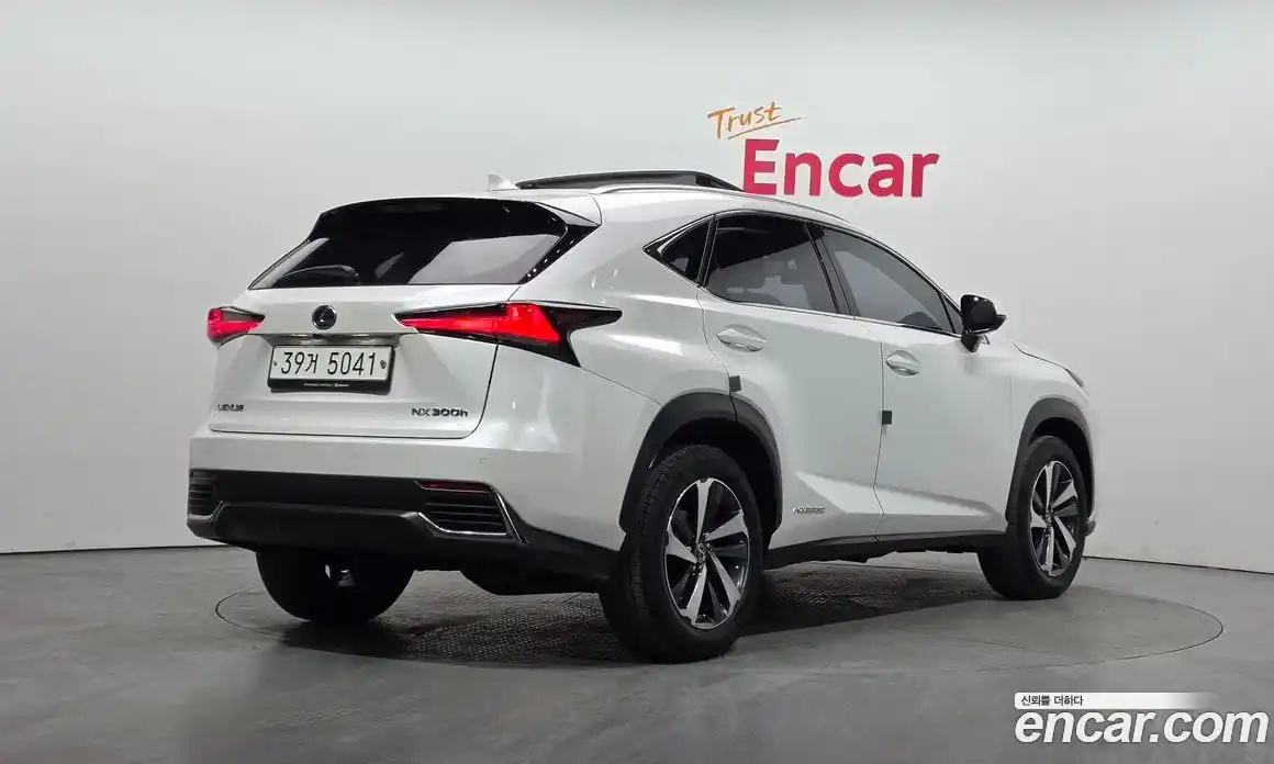 Lexus NX 2018 2.5 гидро, фото 2