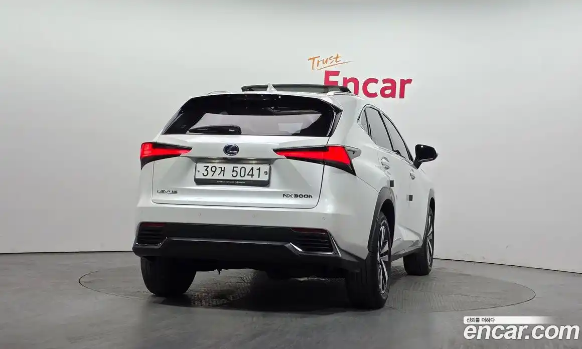 Lexus NX 2018 2.5 гидро, фото 4