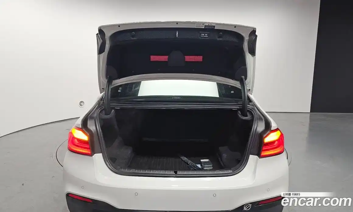 BMW 5 серия 2018 2.0 автомат (гидро), фото 25