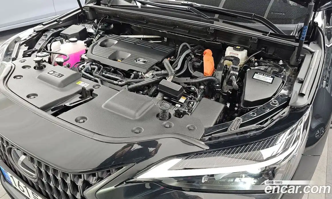 Lexus NX 2024 2.5 гидро, фото 6