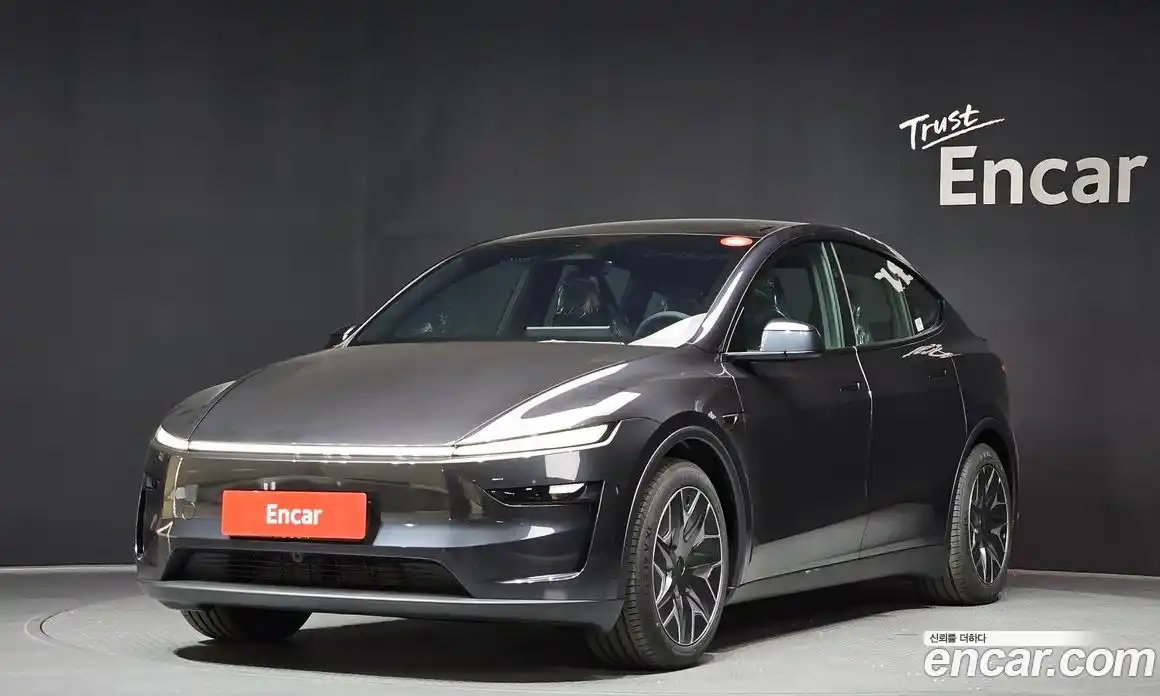 Tesla Model Y 2026 0.2 гидро, фото 1
