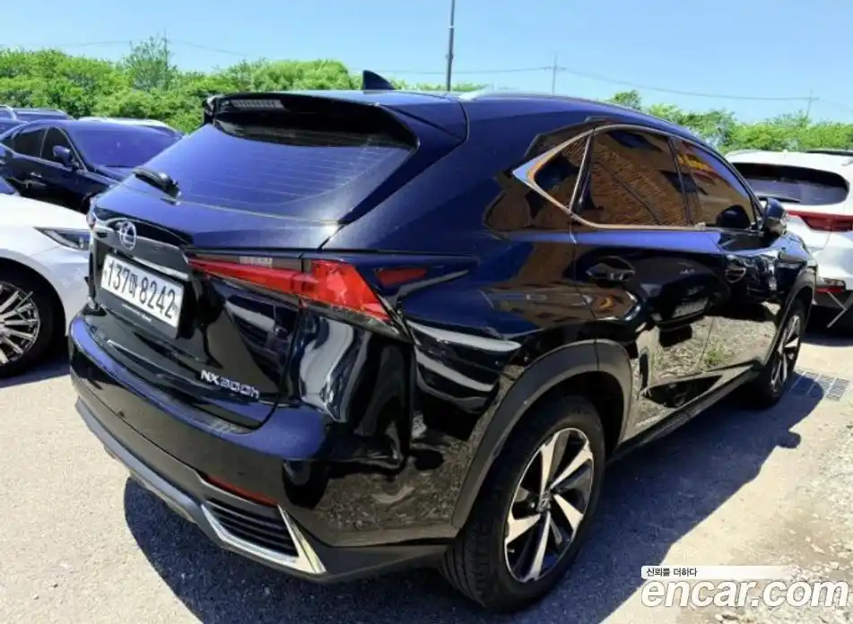Lexus NX 2021 2.5 гидро, фото 6