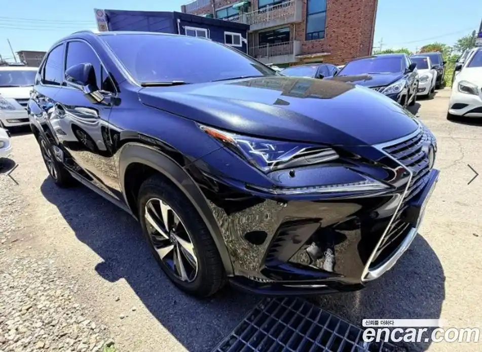 Lexus NX 2021 2.5 гидро, фото 9