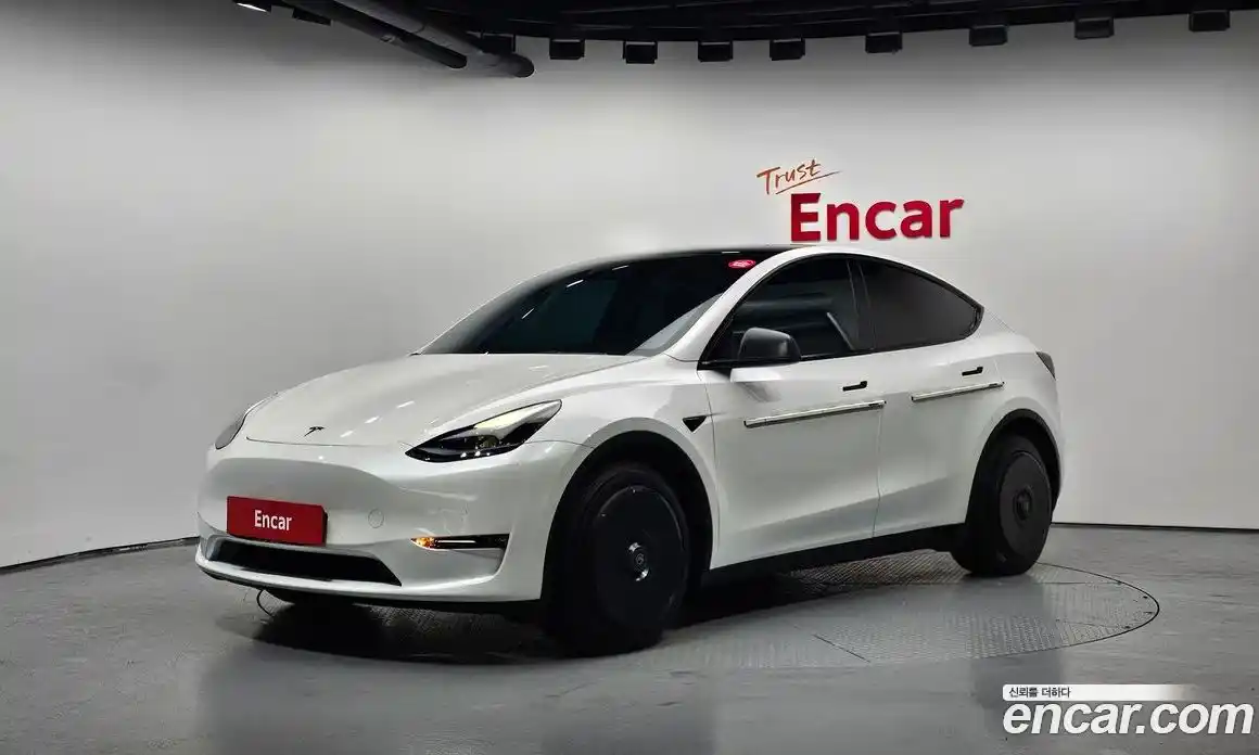 Tesla Model Y 2022 0.2 гидро, фото 1