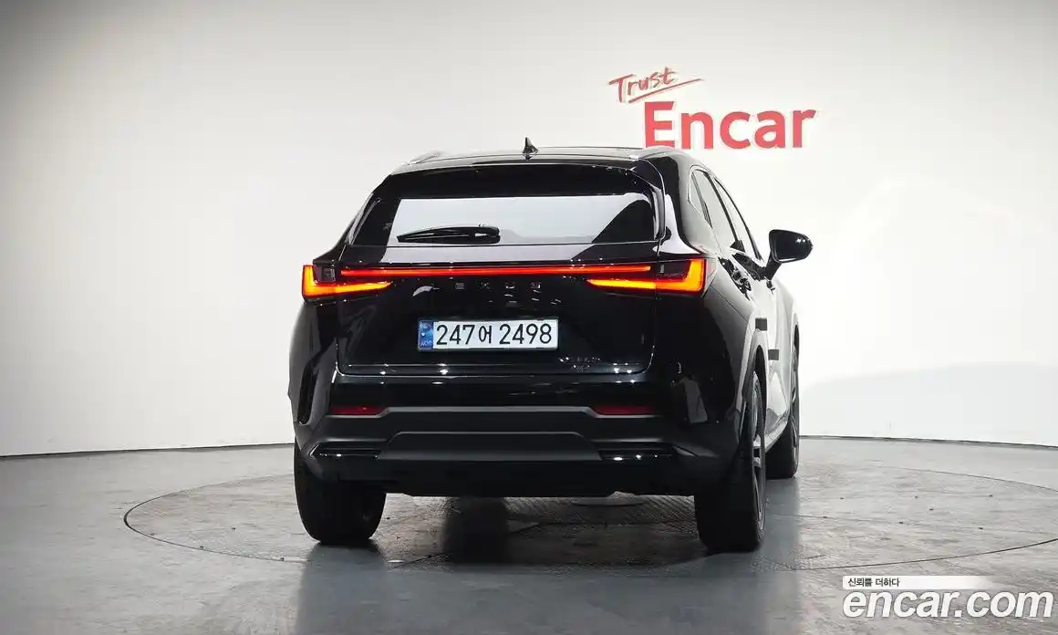 Lexus NX 2024 2.5 гидро, фото 3