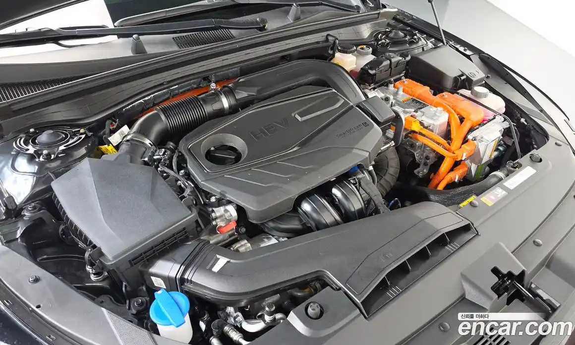 Kia K5 (Optima) 2024 2.0 автомат (гидро), фото 6