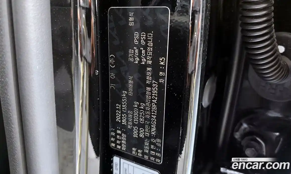 Kia K5 (Optima) 2023 1.6 автомат (гидро), фото 33