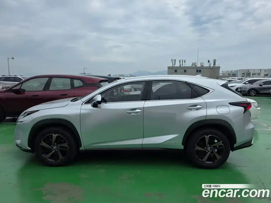 Lexus NX 2018 2.5 гидро, фото 3