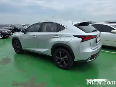 Lexus NX 2018 2.5 гидро, миниатюра 4