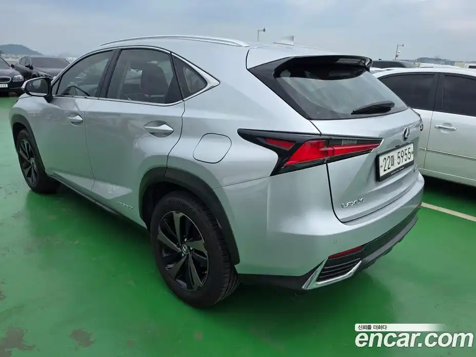 Lexus NX 2018 2.5 гидро, фото 7