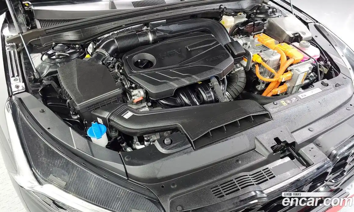 Kia K5 (Optima) 2023 2.0 автомат (гидро), фото 6
