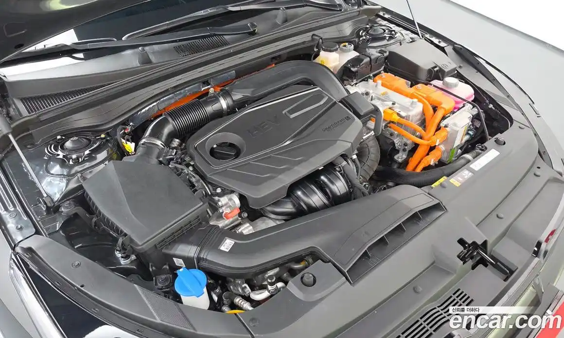 Kia K5 (Optima) 2024 2.0 автомат (гидро), фото 6