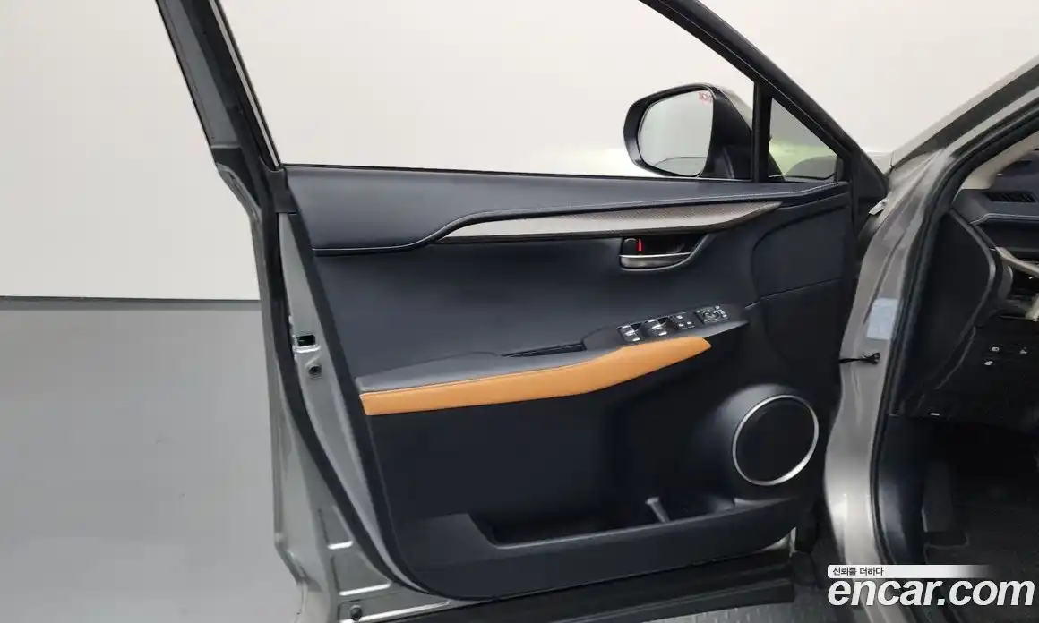 Lexus NX 2019 2.5 гидро, фото 14