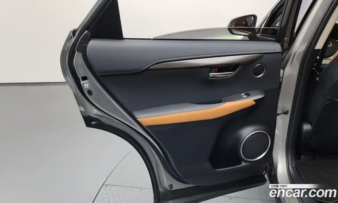 Lexus NX 2019 2.5 гидро, фото 15