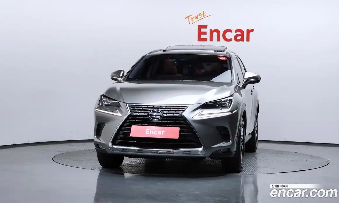 Lexus NX 2019 2.5 гидро, фото 3