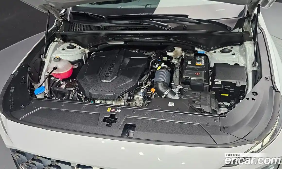 Hyundai Santa Fe 2022 2.2 автомат (гидро), фото 6