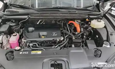 Lexus RX 2024 2.5 вариатор, миниатюра 6