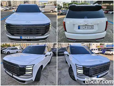 Hyundai Palisade, 2025, 217 км