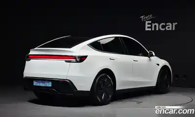 Tesla Model Y 2025 0.2 гидро, миниатюра 2