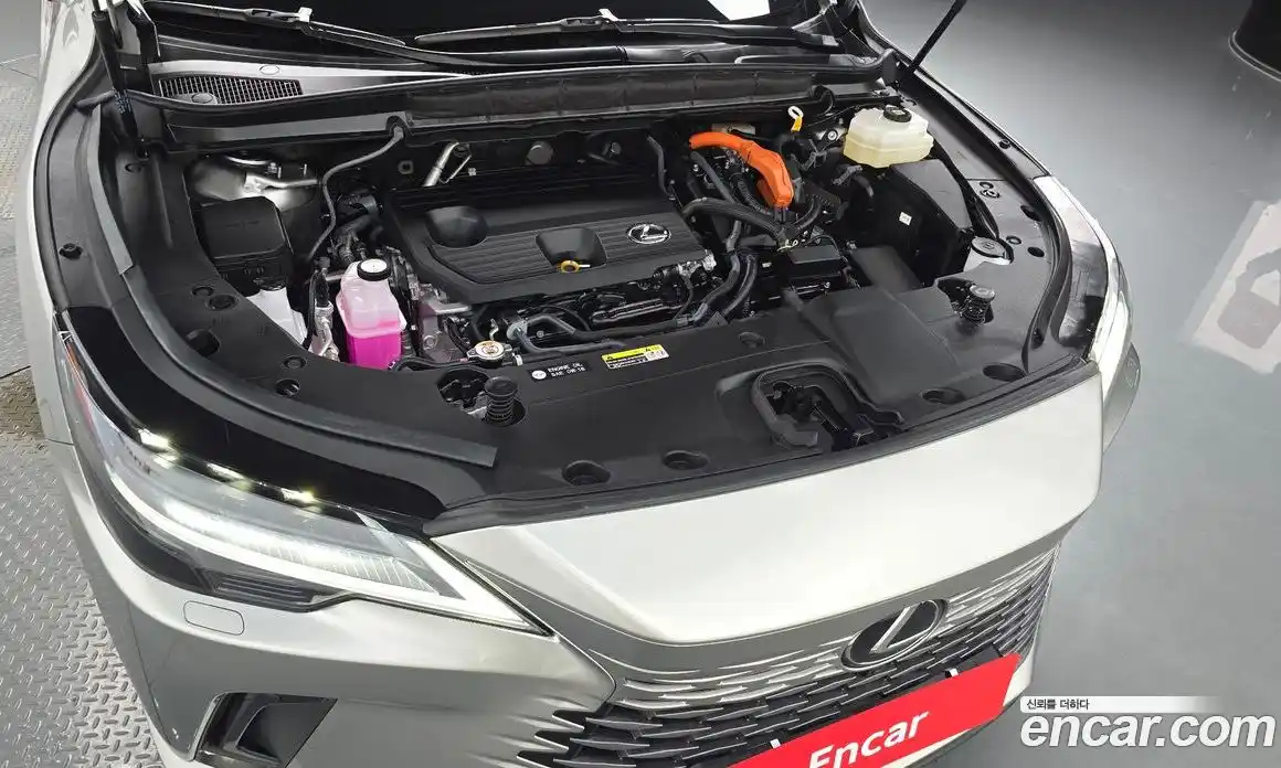 Lexus RX 2025 2.5 гидро, фото 5
