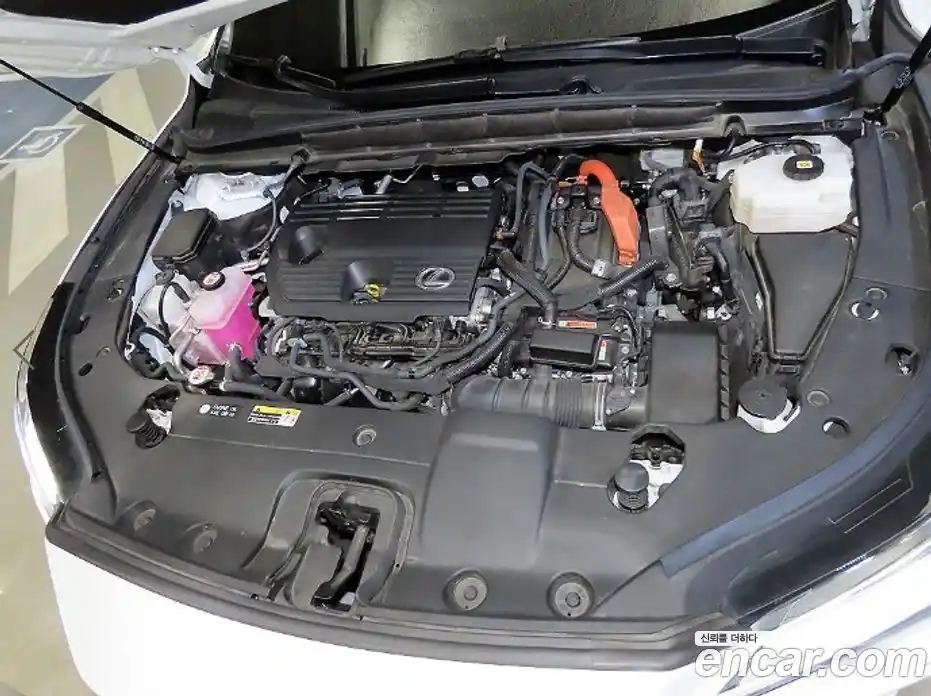 Lexus RX 2023 2.5 вариатор, фото 19