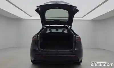 Tesla Model Y 2025 0.2 гидро, миниатюра 3
