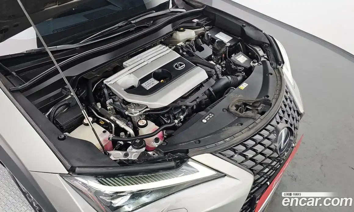 Lexus UX 2019 2.0 гидро, фото 6