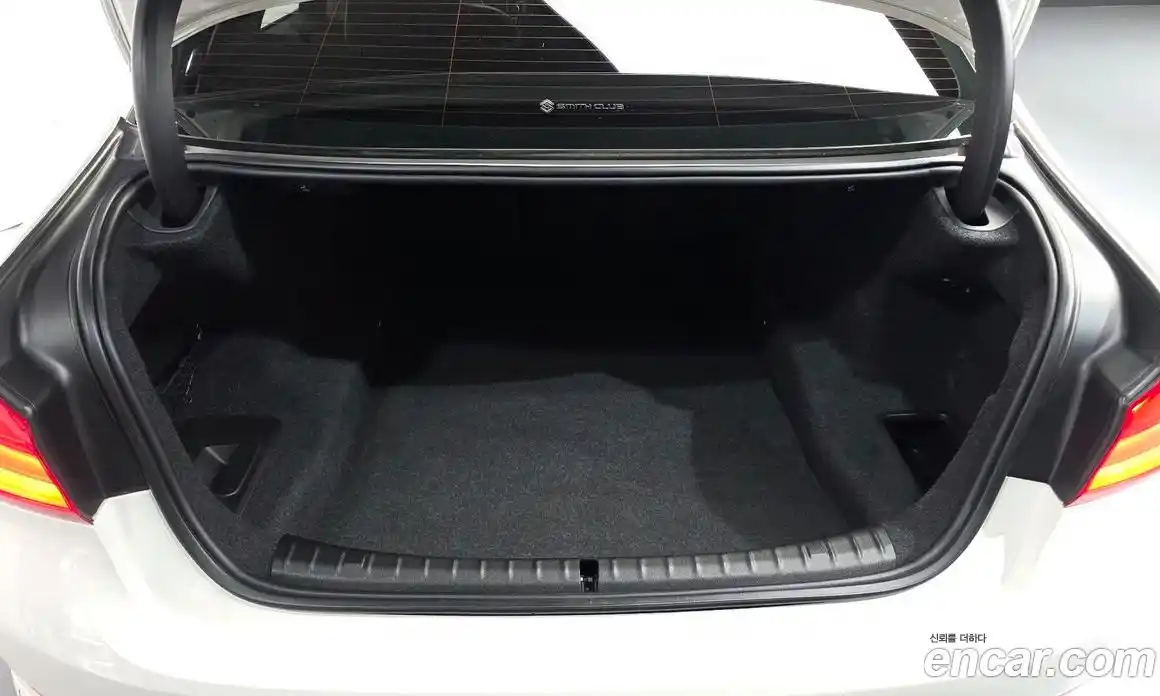 BMW 5 серия 2018 2.0 автомат (гидро), фото 33