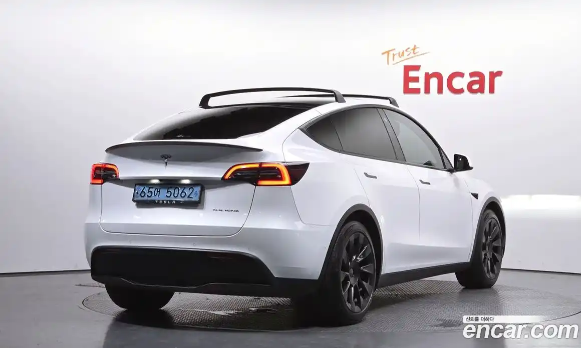 Tesla Model Y 2021 0.2 гидро, фото 1