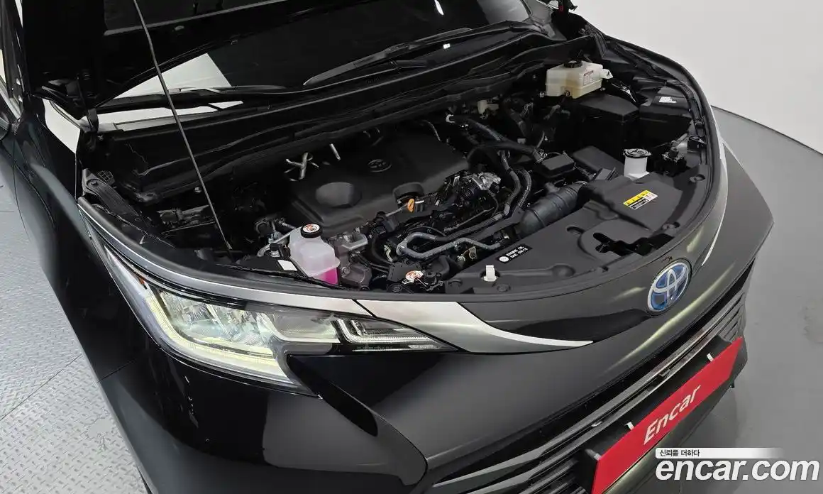 Toyota Sienna 2024 2.5 гидро, фото 6
