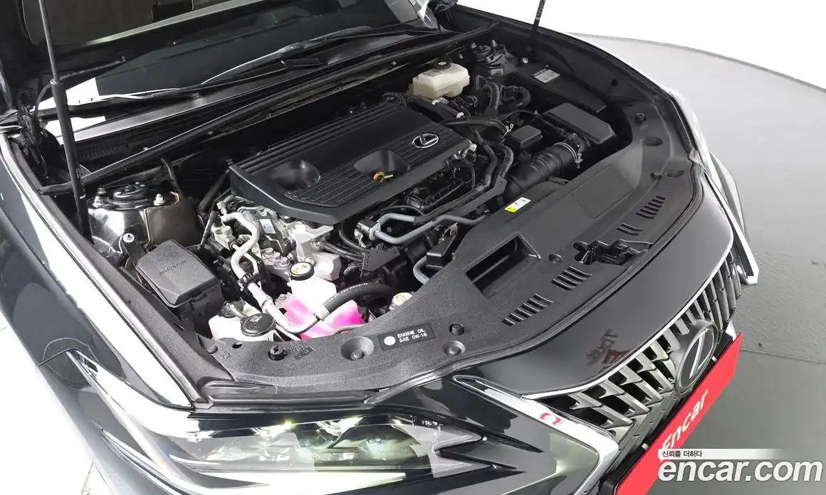 Lexus ES 2023 2.5 гидро, фото 6