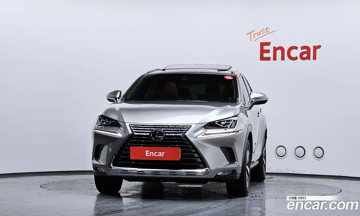Lexus NX 2018 2.5 гидро, фото 3