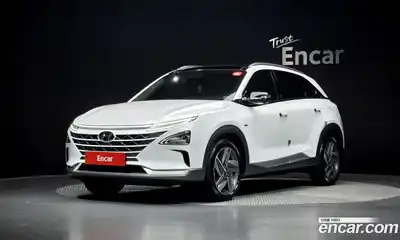 Hyundai Nexo, 2020, 17 843 км