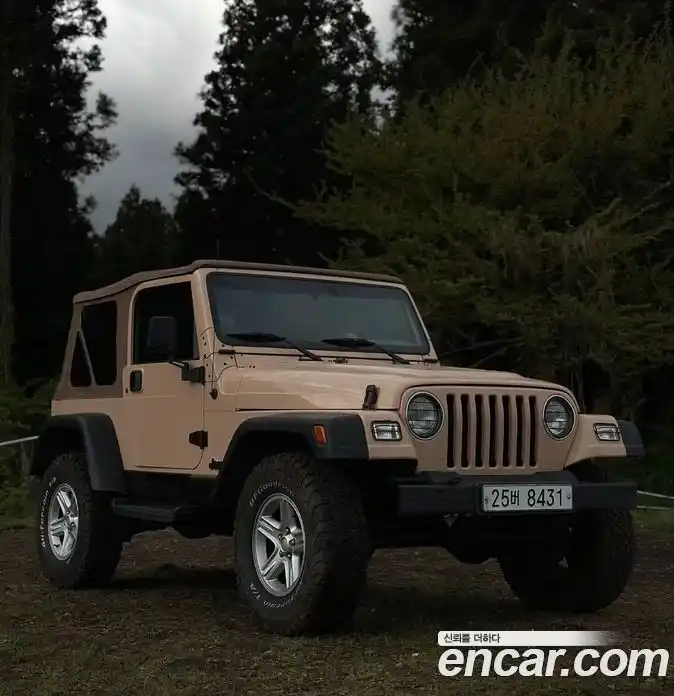 Jeep Wrangler 1997 4.0 автомат (гидро), фото 3