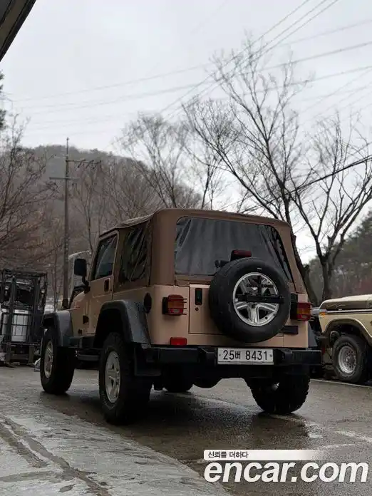 Jeep Wrangler 1997 4.0 автомат (гидро), фото 8