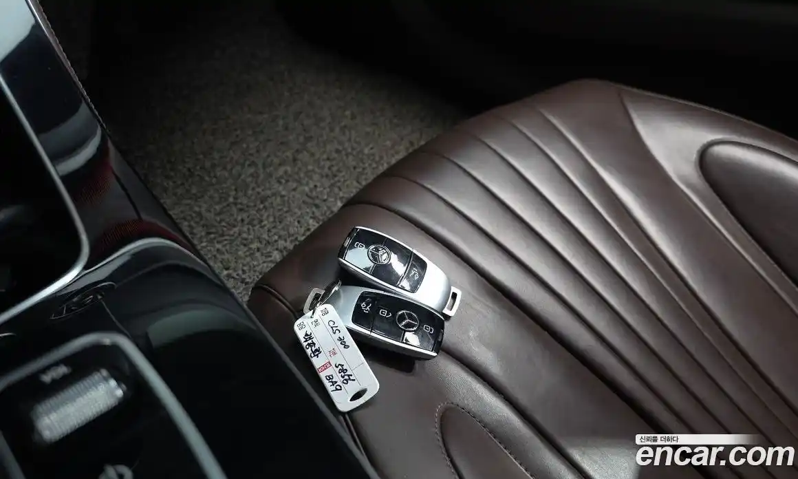 Mercedes-Benz CLS-Class 2019 1.9 гидро, фото 29 Mercedes-Benz CLS-Class 2019 1.9 гидро, фото 29