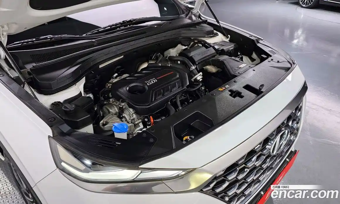 Hyundai Santa Fe 2018 2.0 автомат (гидро), фото 6