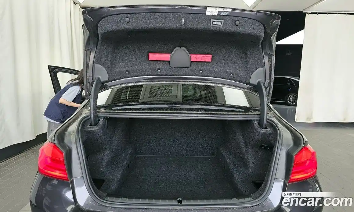 BMW 5 серия 2019 2.0 автомат (гидро), фото 20