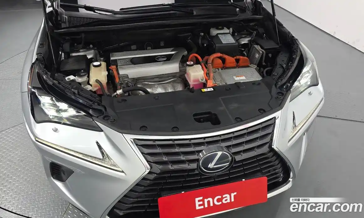 Lexus NX 2018 2.5 автомат (гидро), фото 6 Lexus NX 2018 2.5 автомат (гидро), фото 6