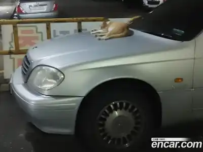 SsangYong Chairman 2002 2.8 автомат (гидро), миниатюра 5