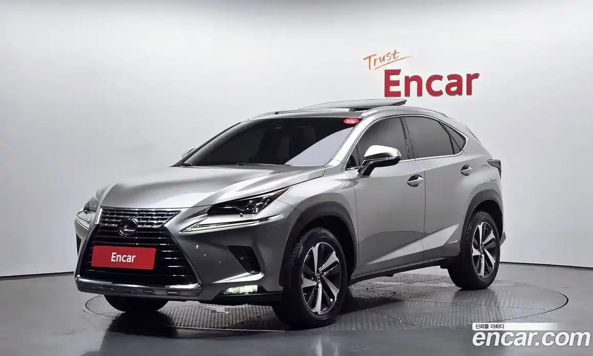 Lexus NX 2019 2.5 автомат (гидро), фото 1 Lexus NX 2019 2.5 автомат (гидро), фото 1