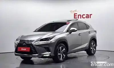 Lexus NX 2019 2.5 автомат (гидро), миниатюра 1 Lexus NX 2019 2.5 автомат (гидро), миниатюра 1