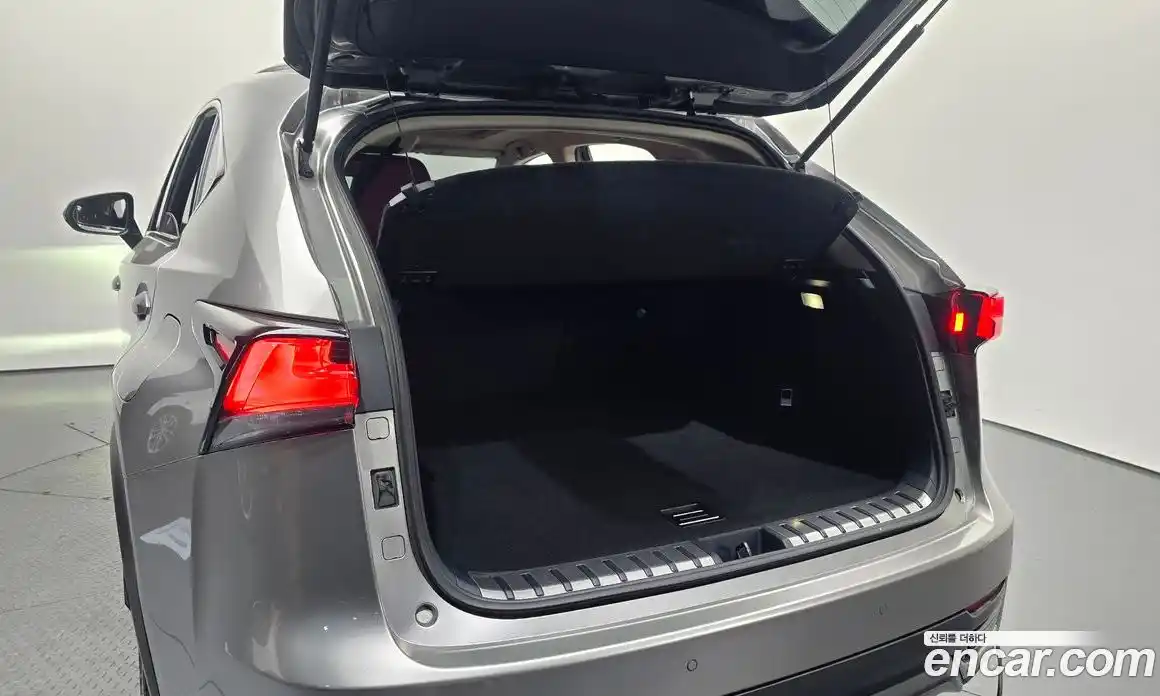 Lexus NX 2019 2.5 автомат (гидро), фото 25 Lexus NX 2019 2.5 автомат (гидро), фото 25