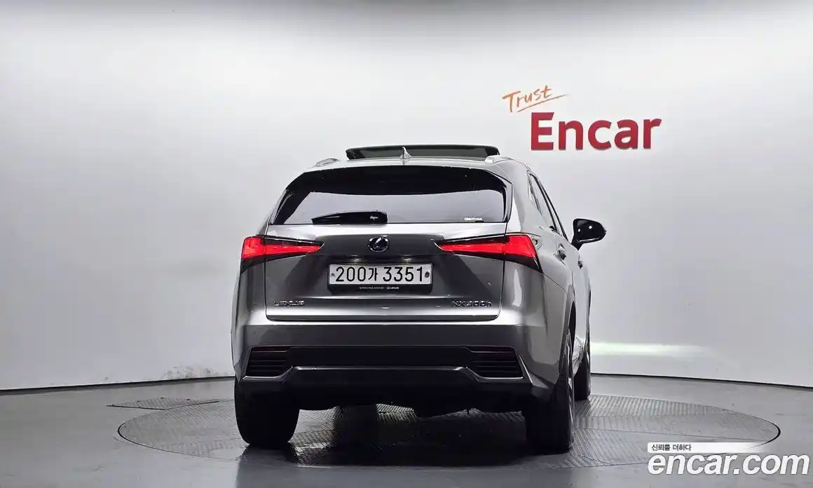 Lexus NX 2019 2.5 автомат (гидро), фото 4 Lexus NX 2019 2.5 автомат (гидро), фото 4