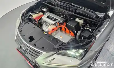 Lexus NX 2019 2.5 автомат (гидро), миниатюра 6 Lexus NX 2019 2.5 автомат (гидро), миниатюра 6