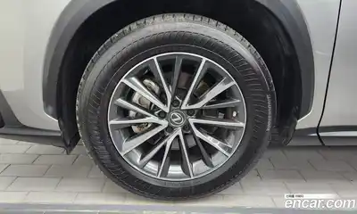 Lexus NX 2023 2.5 автомат (гидро), миниатюра 5 Lexus NX 2023 2.5 автомат (гидро), миниатюра 5