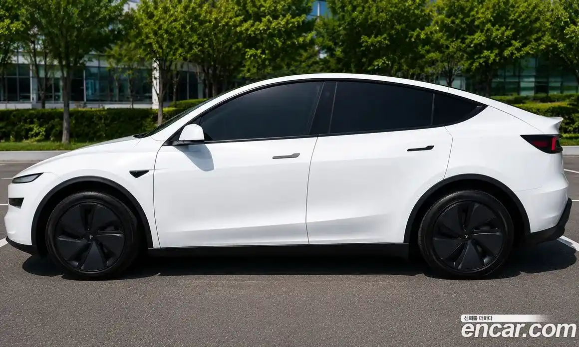 Tesla Model Y 2025 автомат (гидро), фото 3